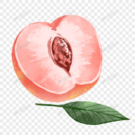 WWW,av133·COM网站APPAPP应用